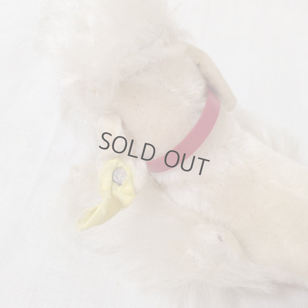 画像12: ドイツ シュタイフ 白 プードル steiff 1950~60 snobby 首輪付き (12)