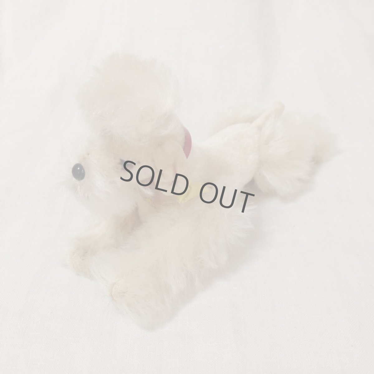 画像8: ドイツ シュタイフ 白 プードル steiff 1950~60 snobby 首輪付き (8)