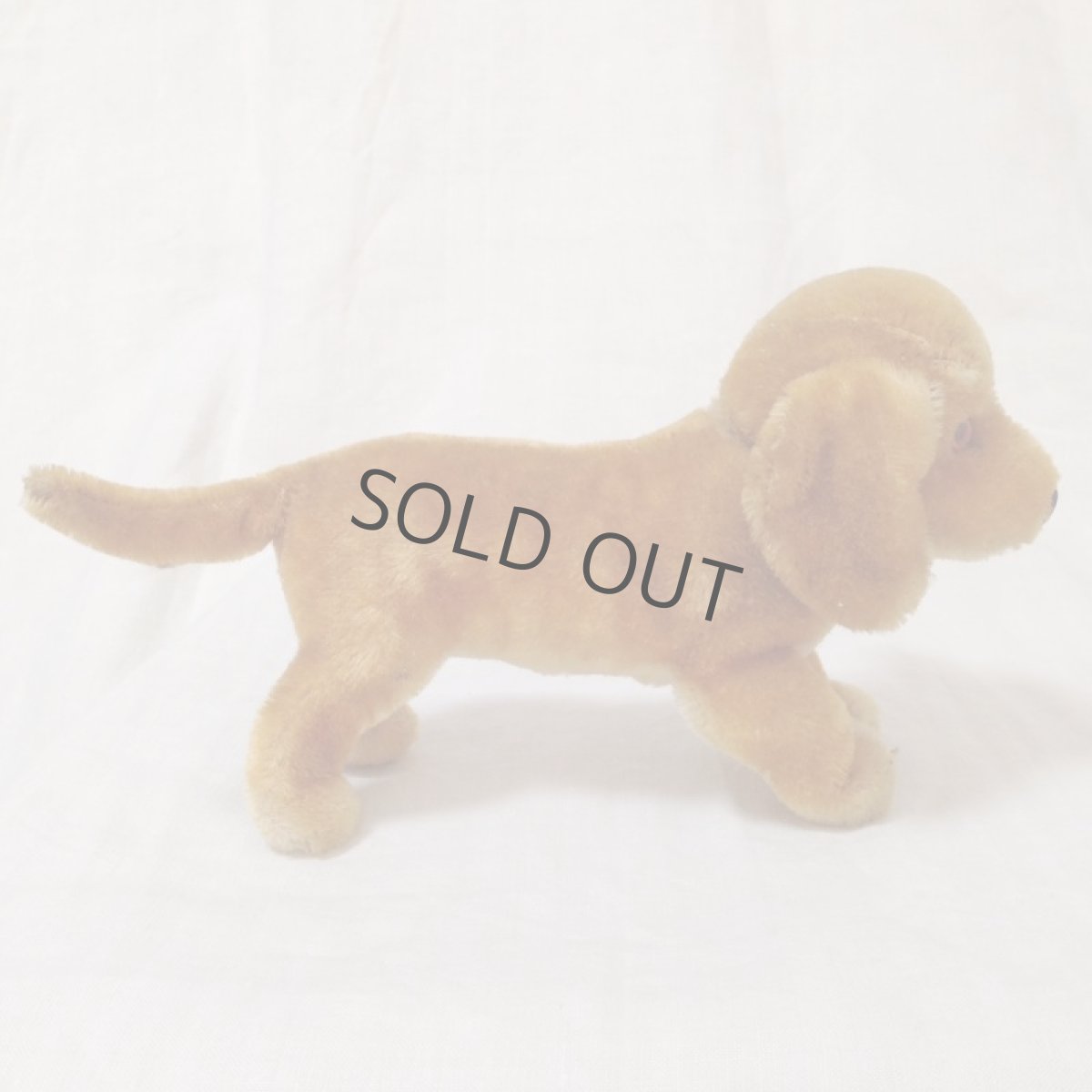 画像5: ドイツ シュタイフ ダックスフンド steiff 犬 (5)