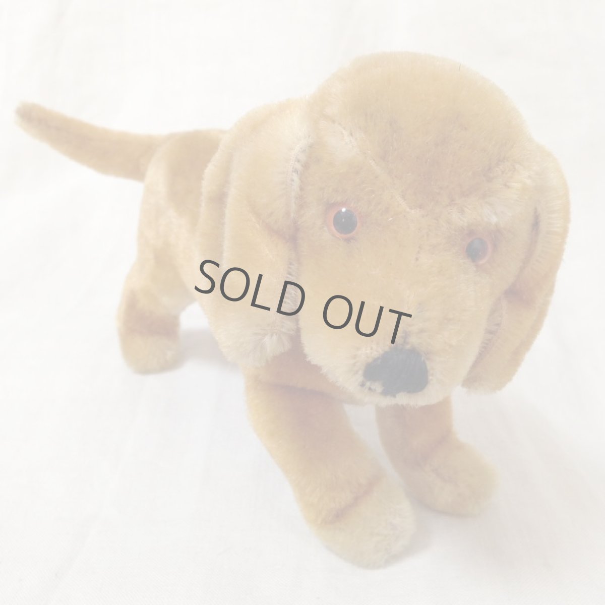 画像11: ドイツ シュタイフ ダックスフンド steiff 犬 (11)