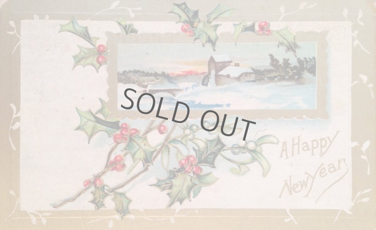 画像2: フランス カード New year 柊 宿木 エンボス 1909年  (2)