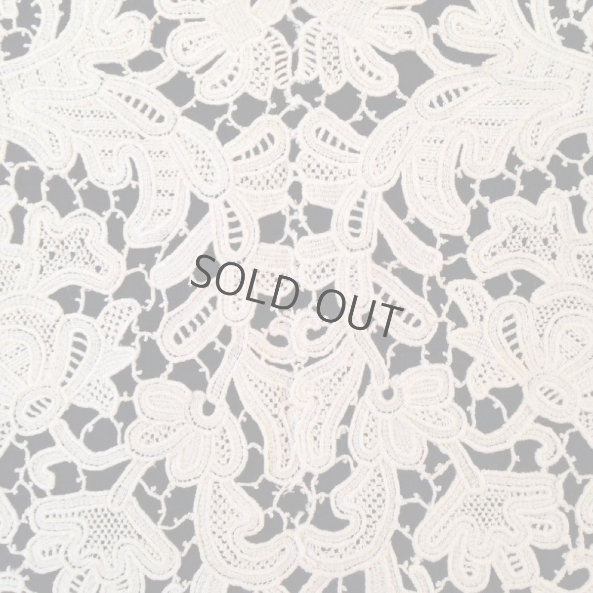 画像7: 襟 レース 生成り 植物モチーフ (7)