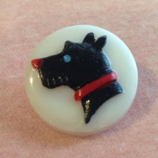 画像1: プラスチック ボタン ホワイト 犬 (1)