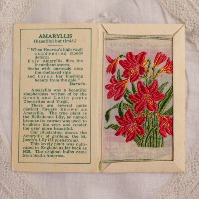 画像1: 広告 シガレットカード シルク刺繍 AMARYLLIS