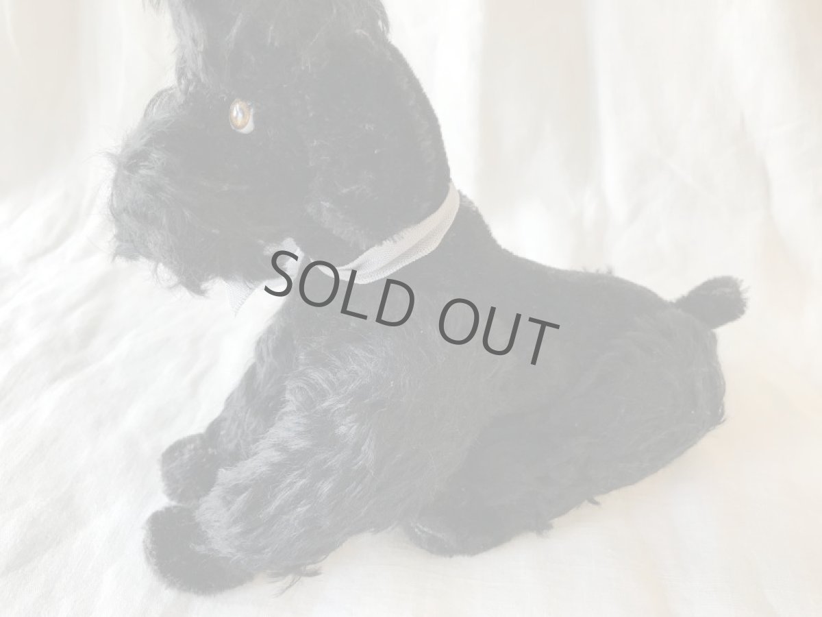 画像4: steiff プードルのぬいぐるみ (大) 黒 (4)