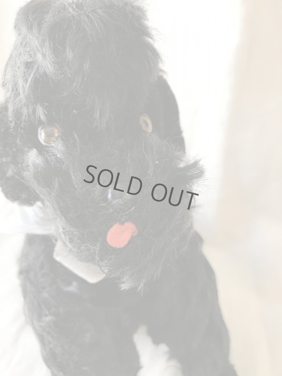 画像12: steiff プードルのぬいぐるみ (大) 黒 (12)