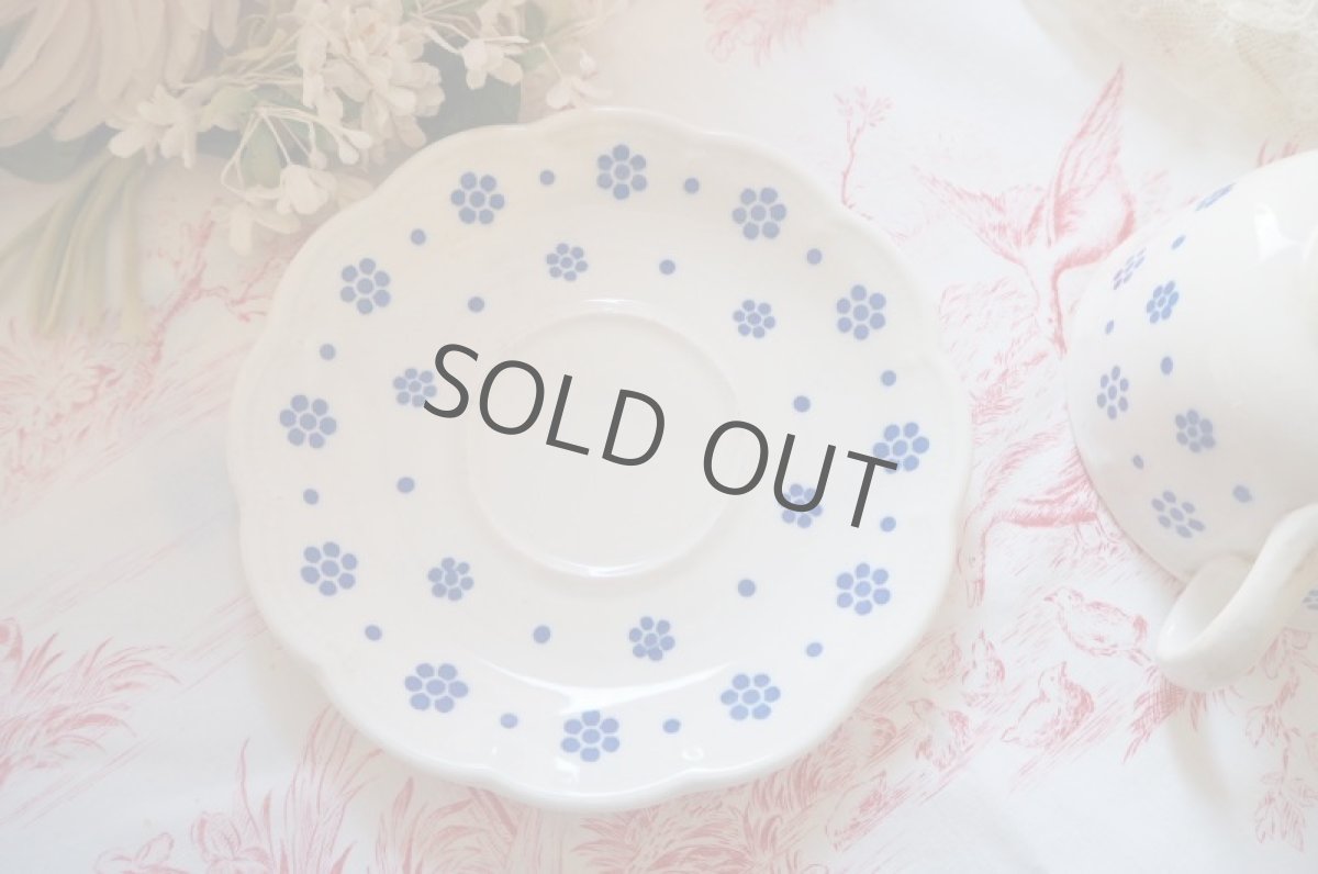 画像6: BOCH/カップ&ソーサー (6)