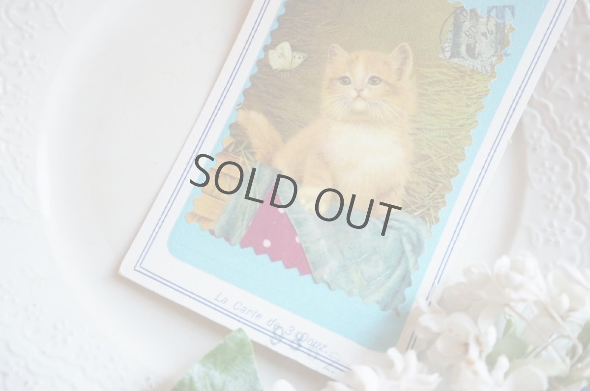 画像6: プランタンの布地サンプラー(ねこ) (6)