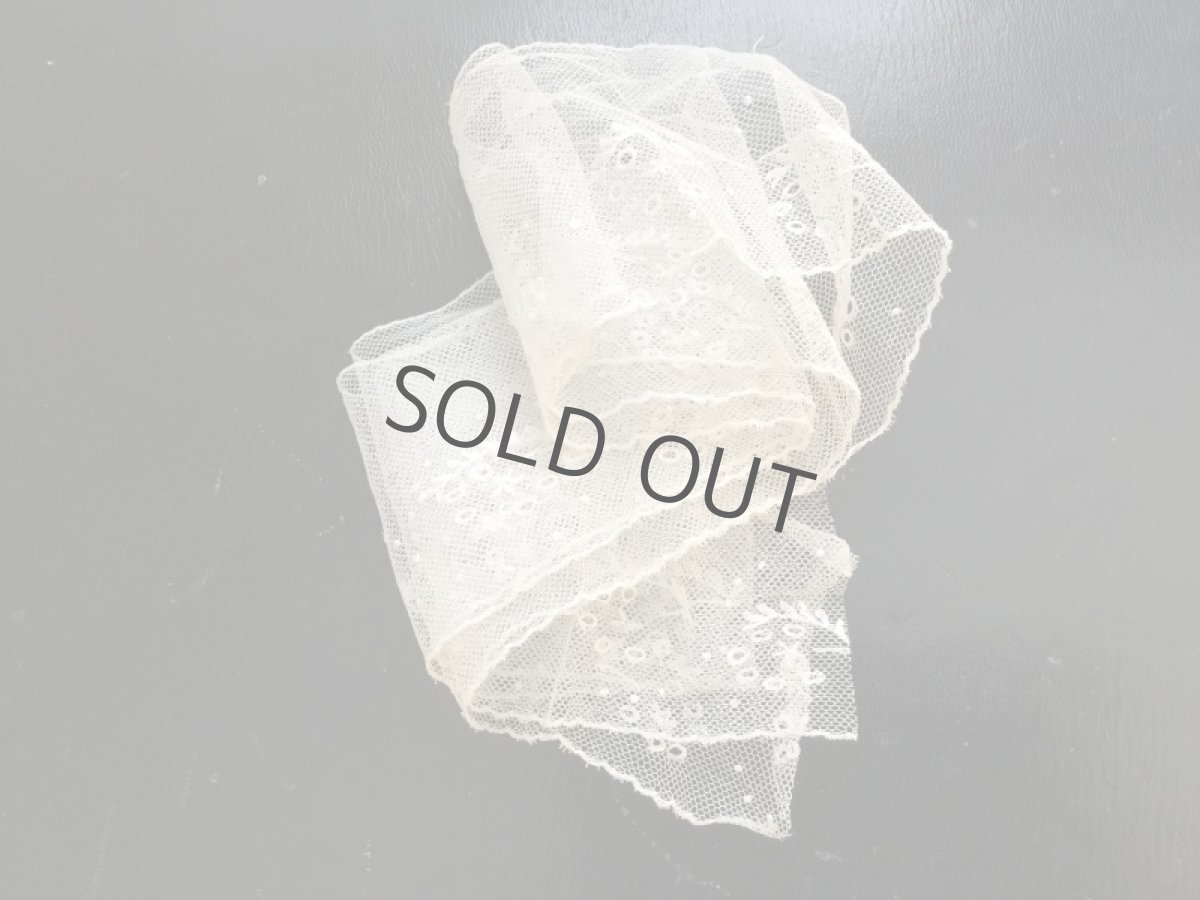 画像6: チュールレース端切れ (6)