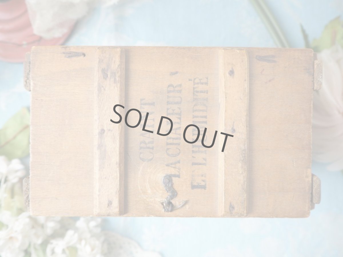 画像6: 超レアな広告文字チョコレートムニエ/フランス木箱 (6)