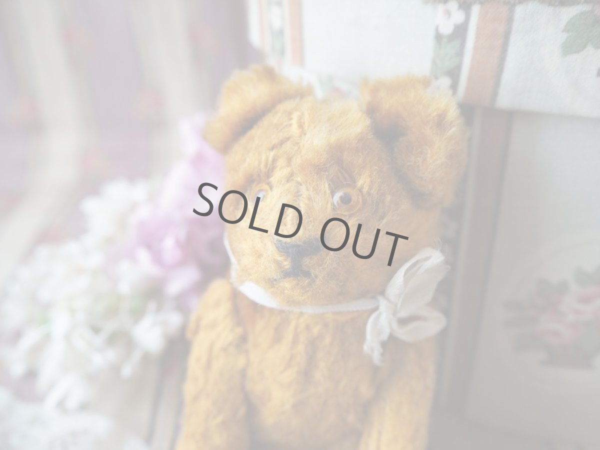 画像3: 古びたテディベア/イギリス (3)