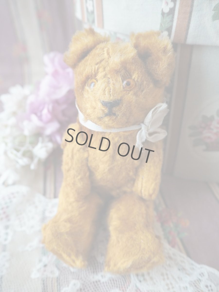 画像2: 古びたテディベア/イギリス (2)