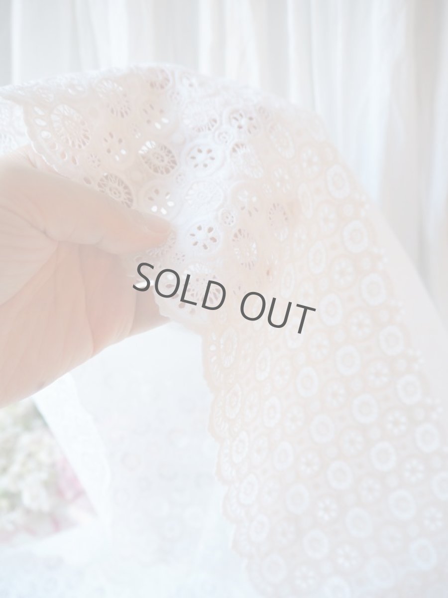 画像6: アイレットレース大小丸にドットの柄の手仕事/50cm〜カット販売です。 (6)