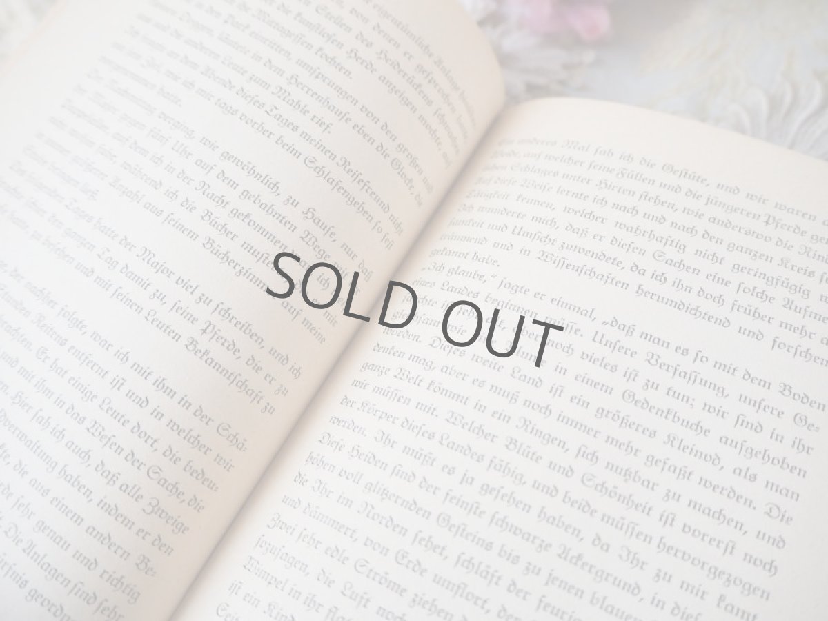 画像11: 1950年代ドイツの物語本「インゼル文庫278」 (11)