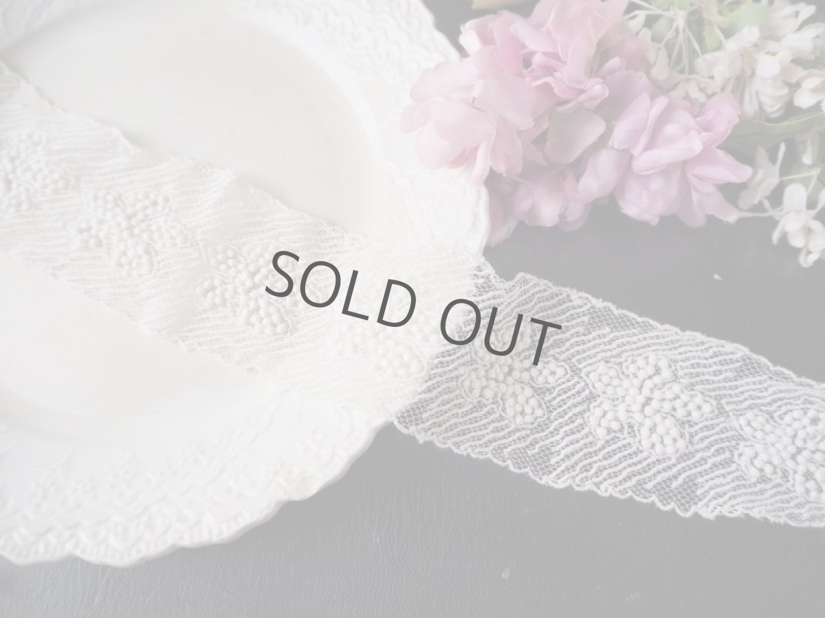 画像2: 粒々ドットの繊細な模様のレースのハギレ (2)