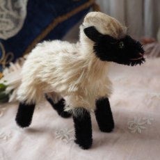 画像11: シュタイフ 社製小さな山羊の縫いぐるみ/snucki (11)