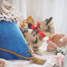 画像13: シュタイフ社製猫の縫いぐるみ/TABBY (13)