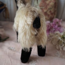 画像11: シュタイフ社製山羊の縫いぐるみ/snuckiミディアムサイズ (11)