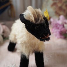 画像12: シュタイフ 社製小さな山羊の縫いぐるみ/snucki (12)