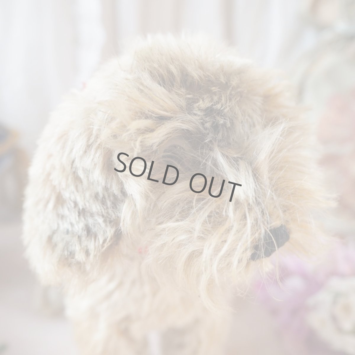 画像7: シュタイフ社製子犬の縫いぐるみの縫いぐるみ/DACHSHUND  (7)