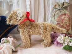 画像3: シュタイフ社製子犬の縫いぐるみの縫いぐるみ/DACHSHUND  (3)