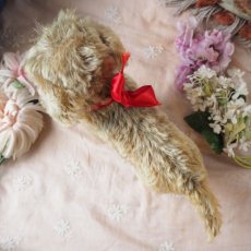 画像14: シュタイフ社製子犬の縫いぐるみの縫いぐるみ/DACHSHUND  (14)