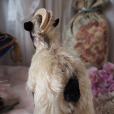 画像10: シュタイフ社製山羊の縫いぐるみ/snuckiミディアムサイズ (10)