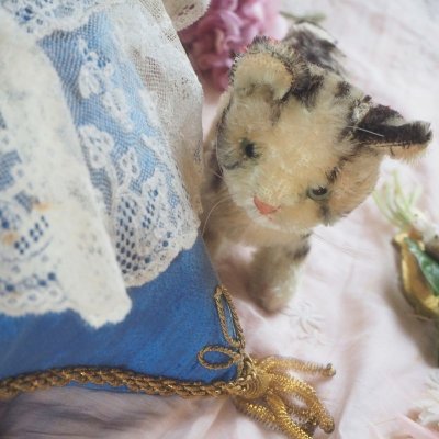 画像2: シュタイフ社製猫の縫いぐるみ/TABBY