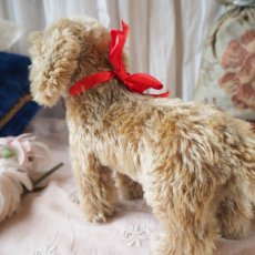 画像15: シュタイフ社製子犬の縫いぐるみの縫いぐるみ/DACHSHUND  (15)