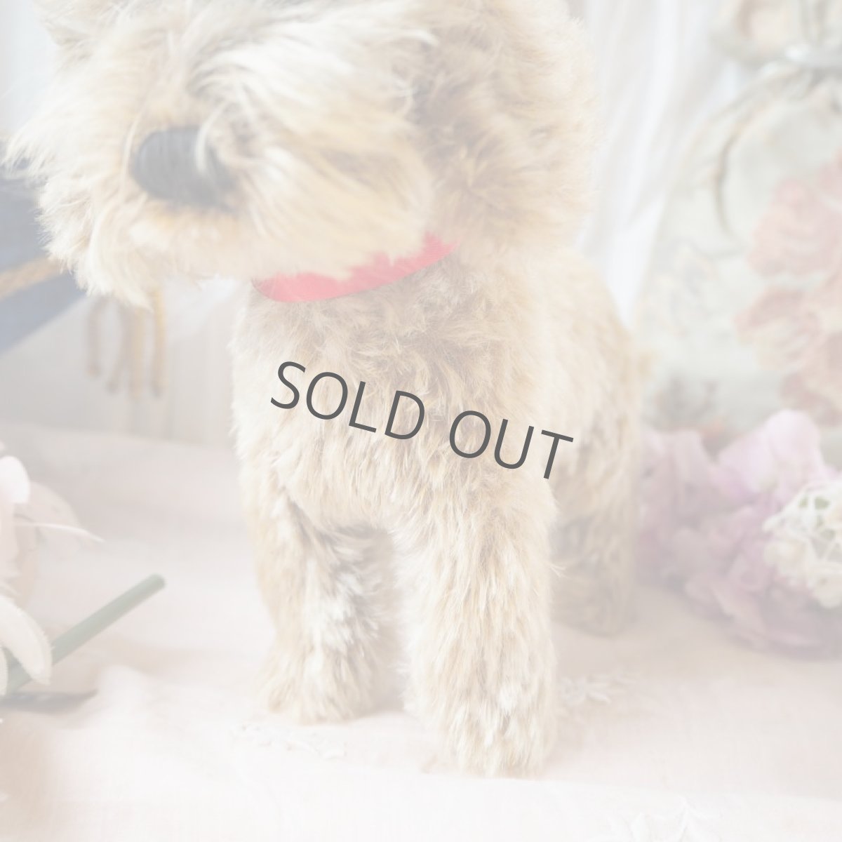 画像10: シュタイフ社製子犬の縫いぐるみの縫いぐるみ/DACHSHUND  (10)