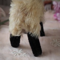 画像8: シュタイフ 社製小さな山羊の縫いぐるみ/snucki (8)