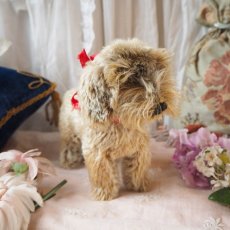 画像18: シュタイフ社製子犬の縫いぐるみの縫いぐるみ/DACHSHUND  (18)
