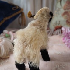 画像9: シュタイフ 社製小さな山羊の縫いぐるみ/snucki (9)