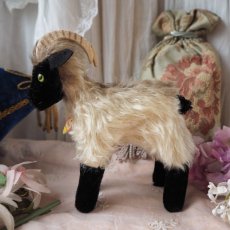 画像3: シュタイフ社製山羊の縫いぐるみ/snuckiミディアムサイズ (3)