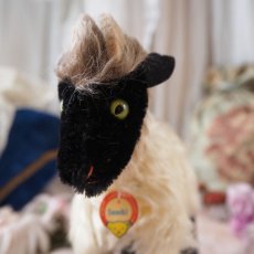 画像16: シュタイフ社製山羊の縫いぐるみ/snuckiミディアムサイズ (16)