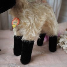 画像9: シュタイフ社製山羊の縫いぐるみ/snuckiミディアムサイズ (9)