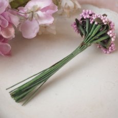 画像4: ペップの小花の花束ピンクグラデーション (4)