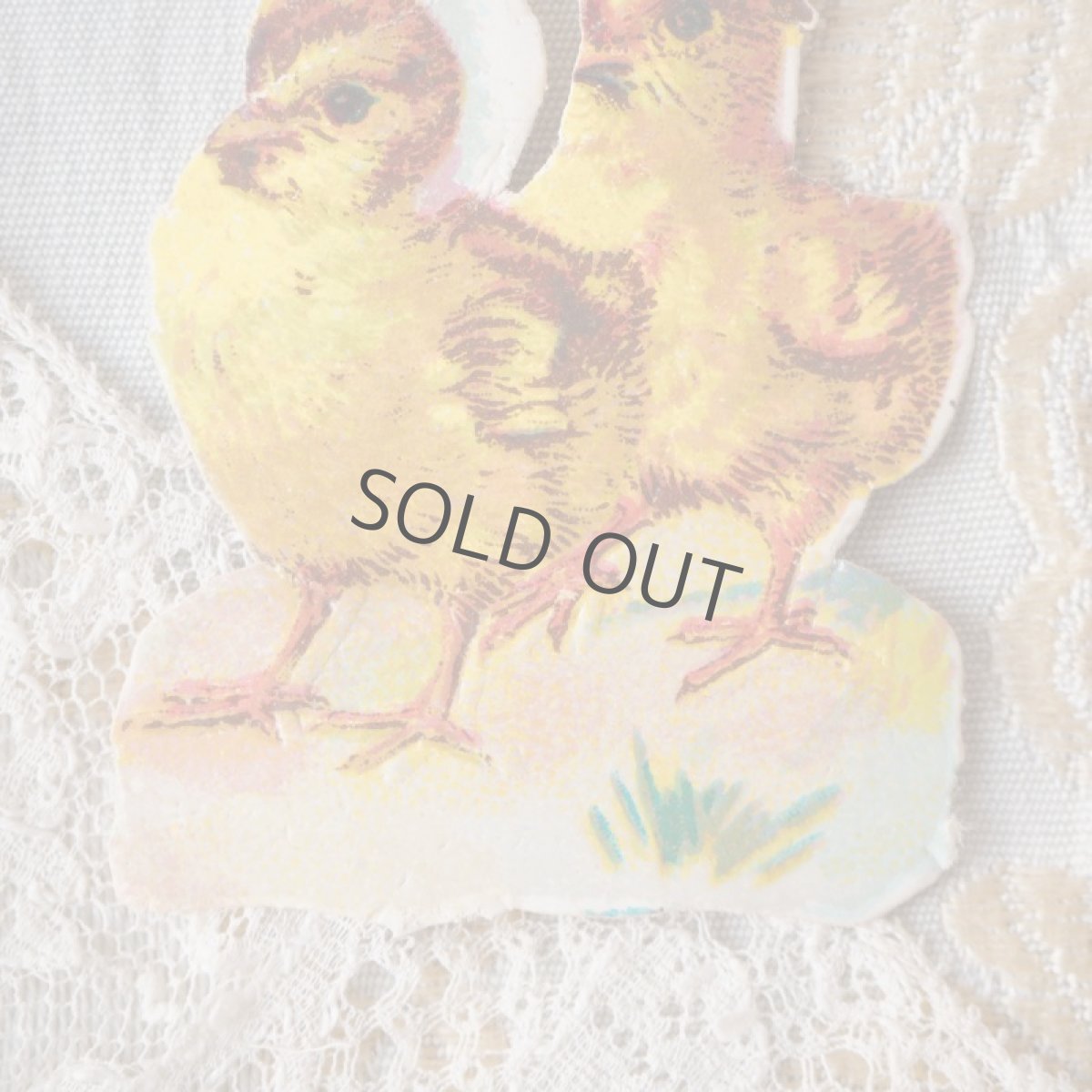 画像3: 古いクロモカード　ペアのヒヨコ　/レースと帽子 (3)