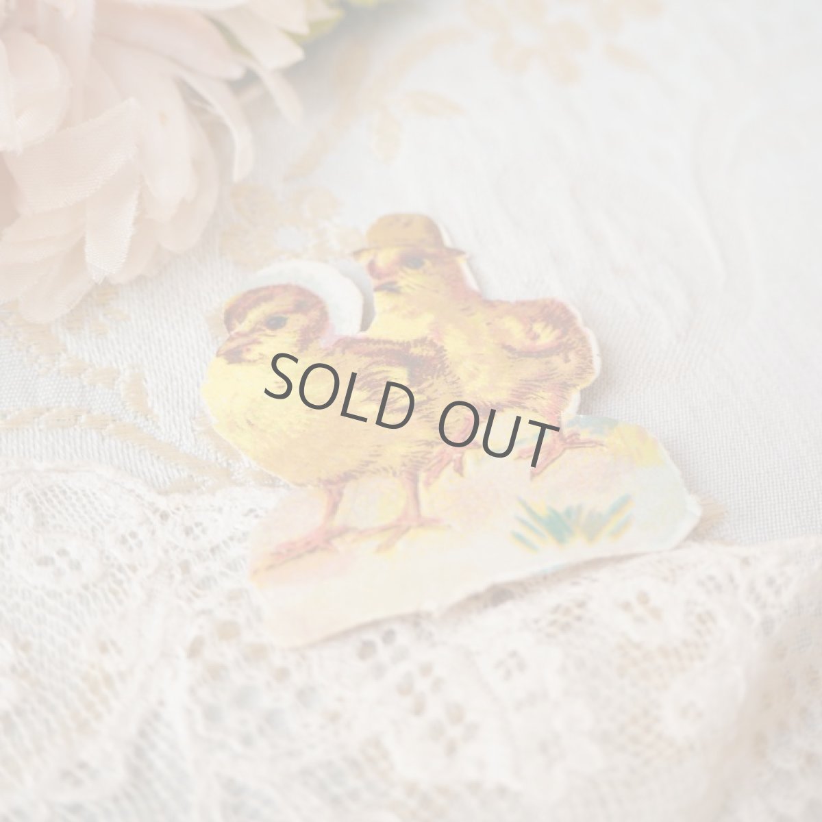 画像4: 古いクロモカード　ペアのヒヨコ　/レースと帽子 (4)