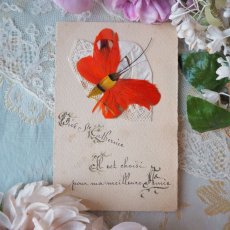 画像1: 白いボネと蝶の羽根飾りのカード (1)