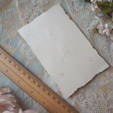 画像5: リボンと布花のセルロイド製クロモカード (5)