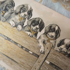 画像3: 金彩加工のフェンスから覗く5匹の子犬のカード (3)