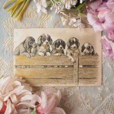 画像1: 金彩加工のフェンスから覗く5匹の子犬のカード (1)