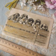 画像2: 金彩加工のフェンスから覗く5匹の子犬のカード (2)