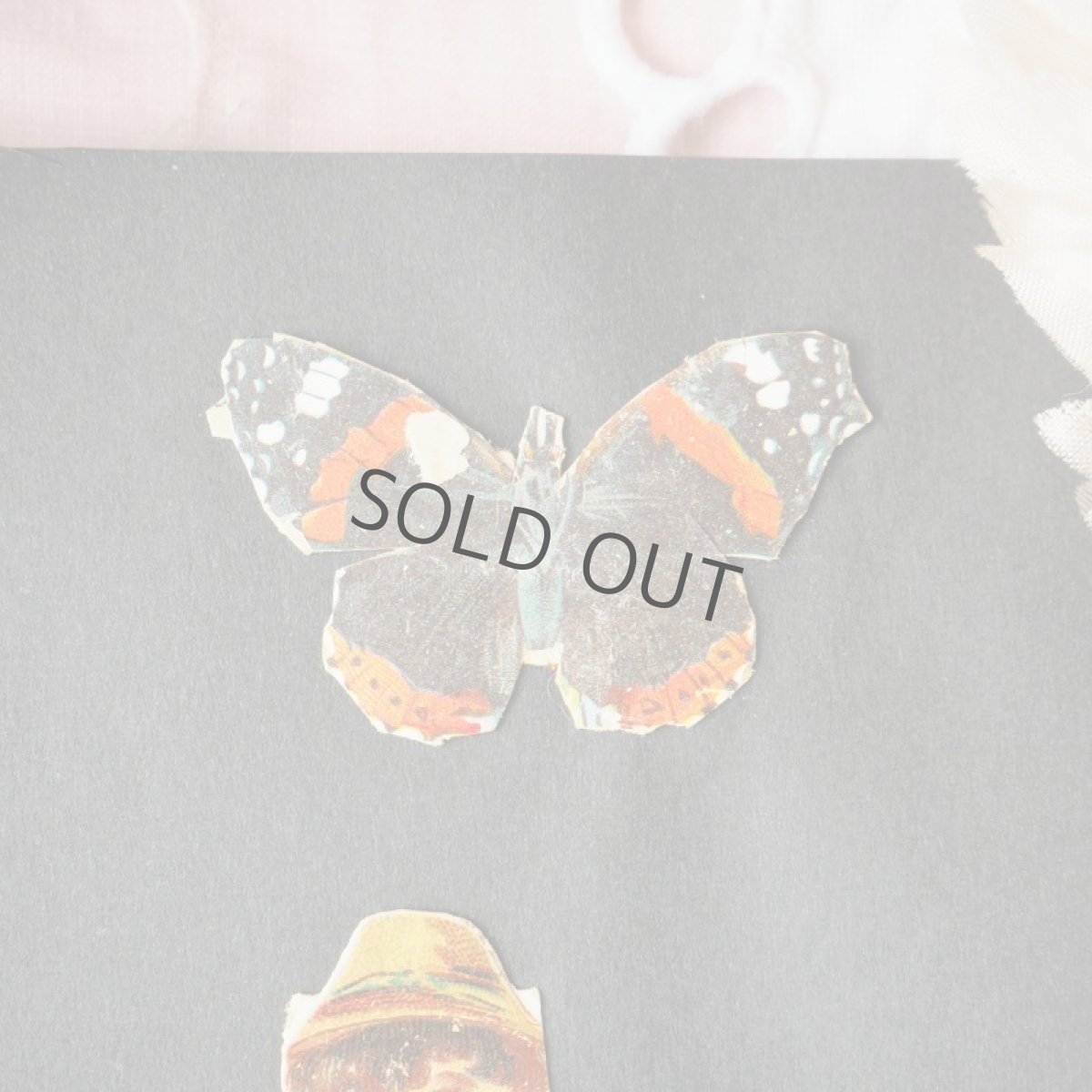 画像4: クロモカードのセット (4)