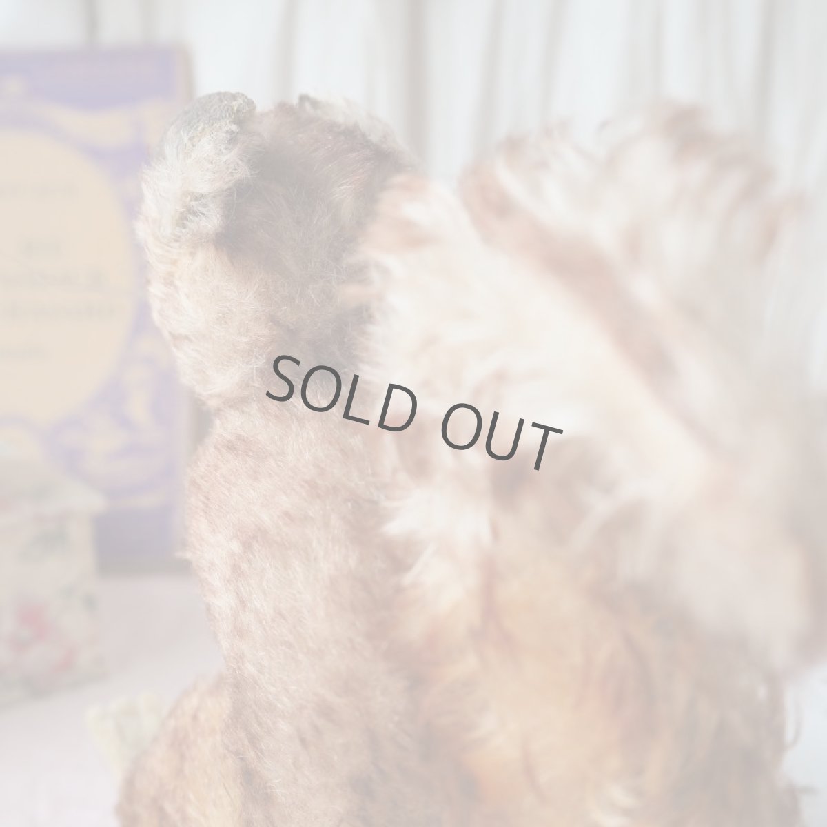 画像9: ドイツ製シュタイフ社のリスの縫いぐるみ (9)