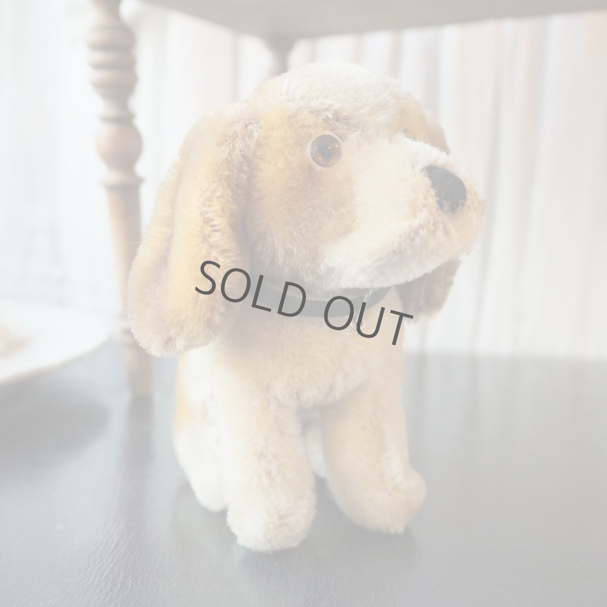 画像5: シュタイフ社小さなコッカースパニエル/グリーンの首輪 (5)