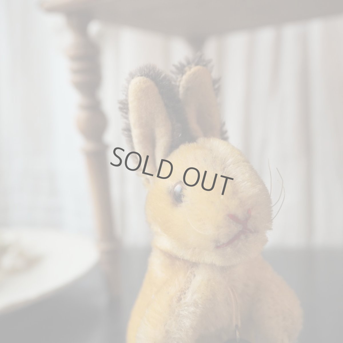 画像8: シュタイフ社小さなウサギ／鈴付き (8)