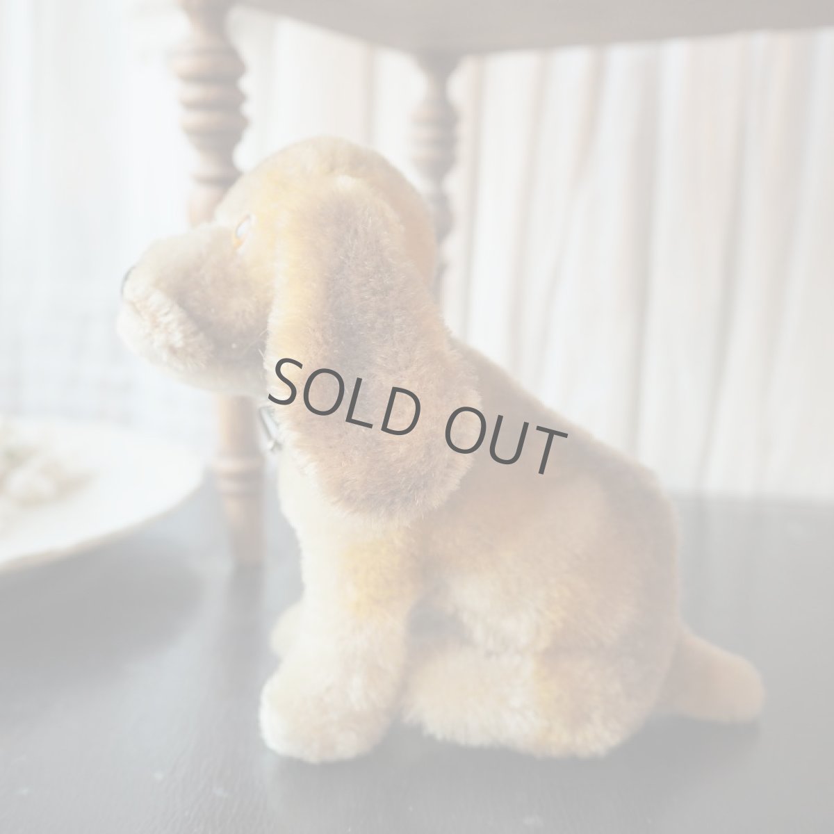 画像2: シュタイフ社小さなコッカースパニエル/グリーンの首輪 (2)