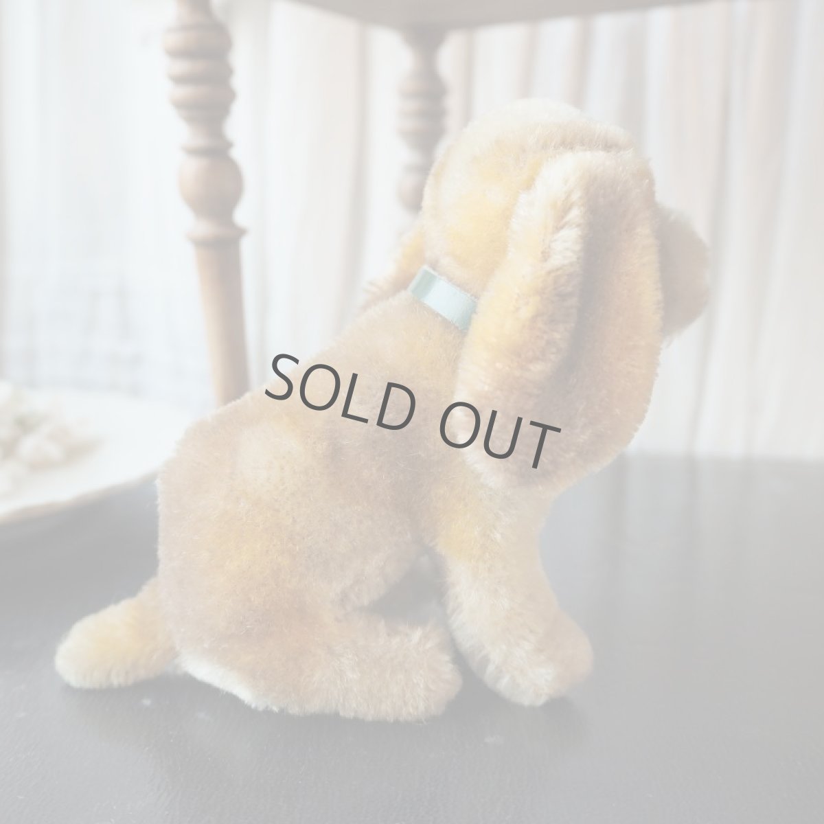 画像4: シュタイフ社小さなコッカースパニエル/グリーンの首輪 (4)